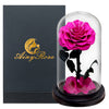 Eternal rose in glass dome