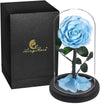 Eternal rose in glass dome