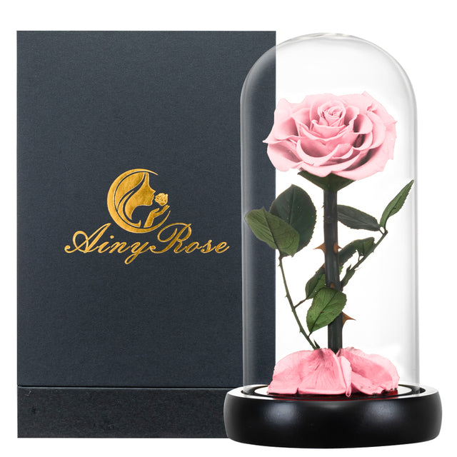 Eternal rose in glass dome