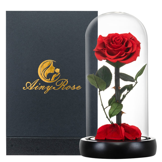 Eternal rose in glass dome