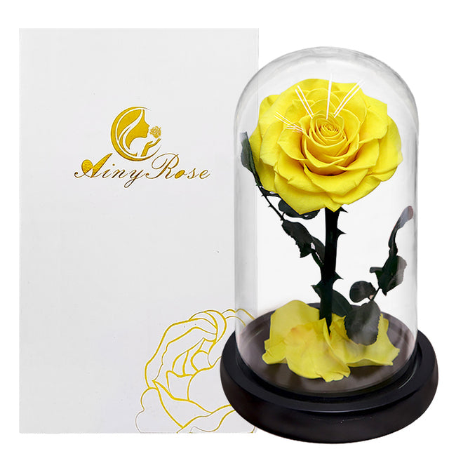 Eternal rose in glass dome