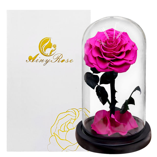 Eternal rose in glass dome