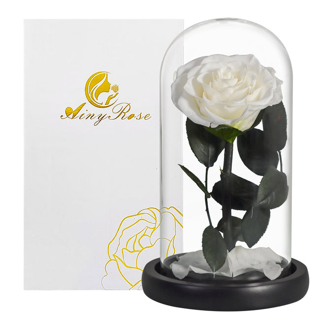 Eternal rose in glass dome