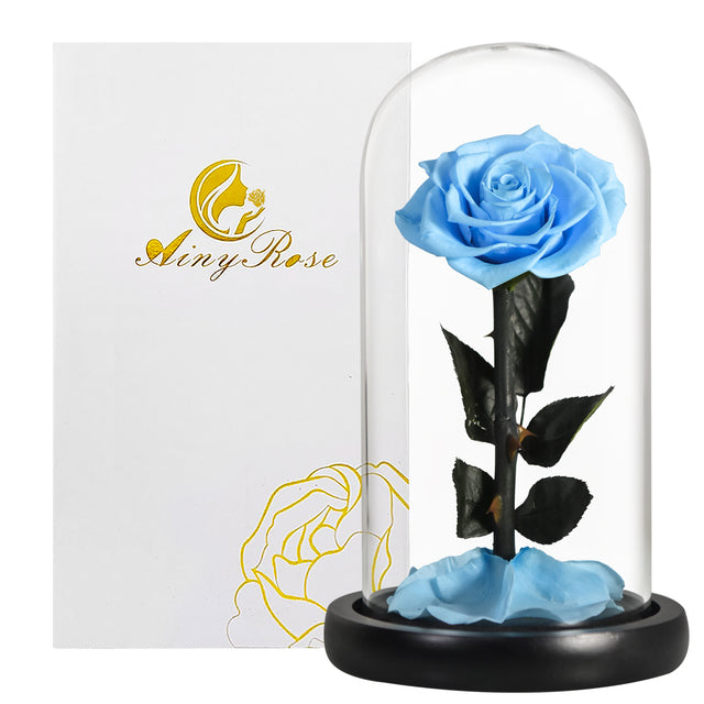 Eternal rose in glass dome