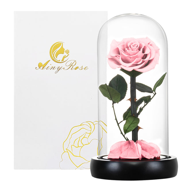 Eternal rose in glass dome