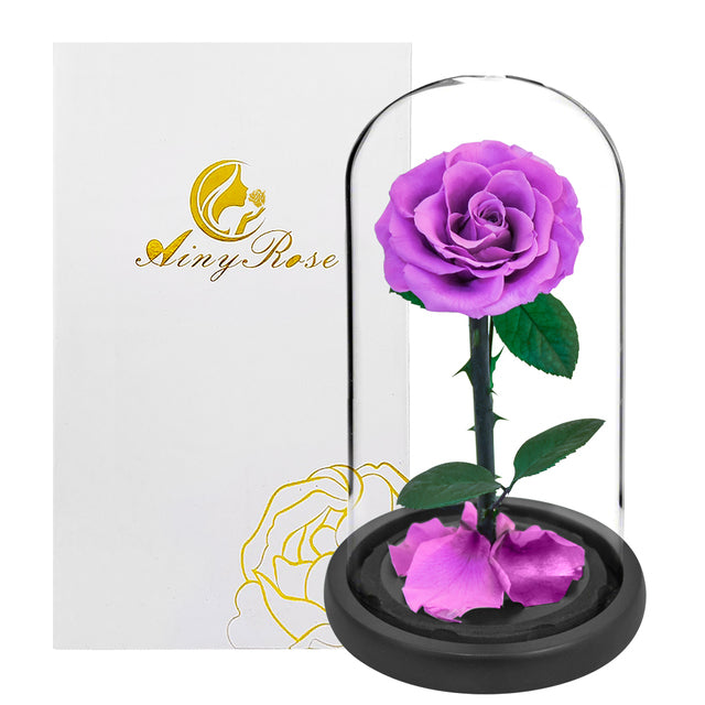 Eternal rose in glass dome