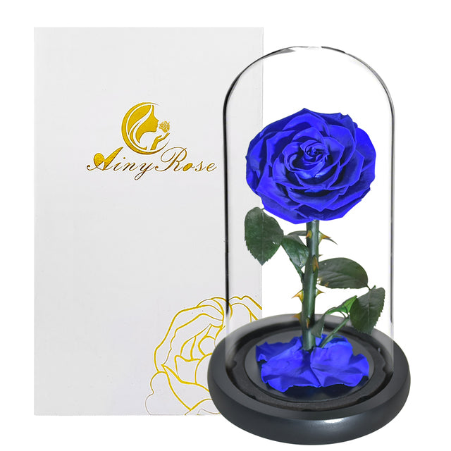 Eternal rose in glass dome