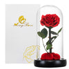 Eternal rose in glass dome