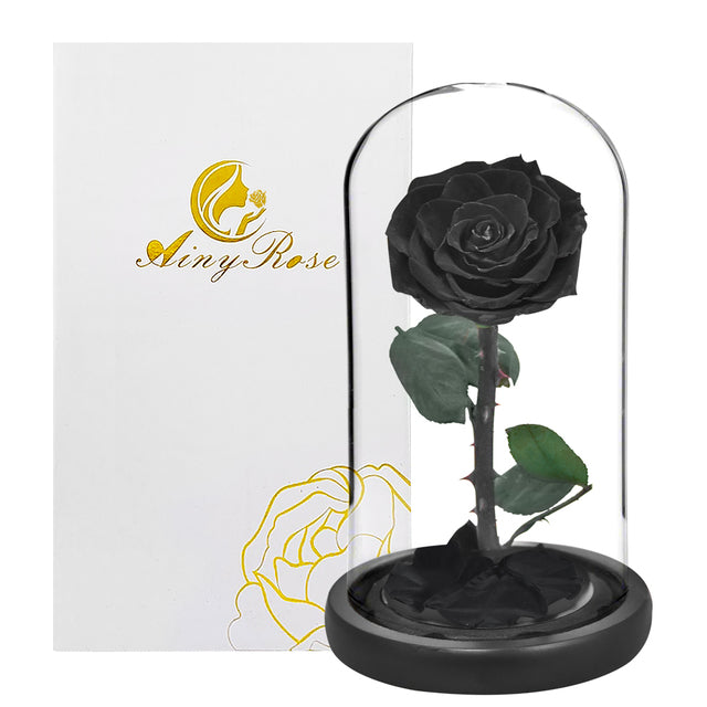 Eternal rose in glass dome