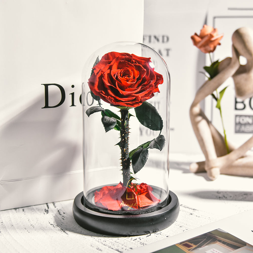 Eternal rose in glass dome