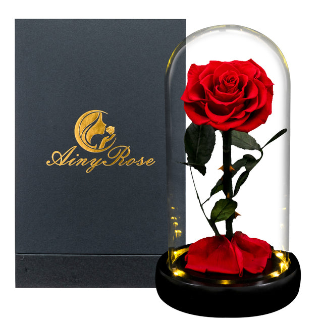 Eternal Rose in Crystal Dome