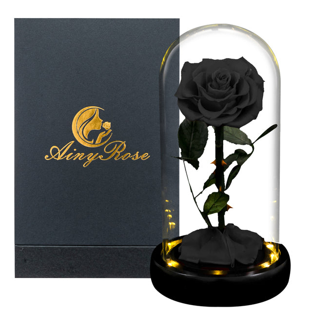 Eternal rose in glass dome