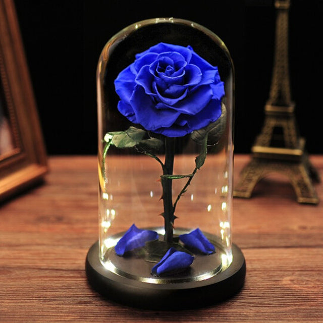 Eternal rose in glass dome