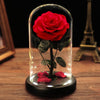 Eternal rose in glass dome