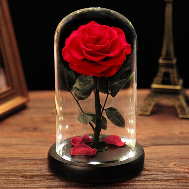 Eternal Rose in Crystal Dome