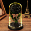 Eternal rose in glass dome