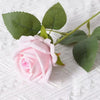 Flower Anniversary Gifts
