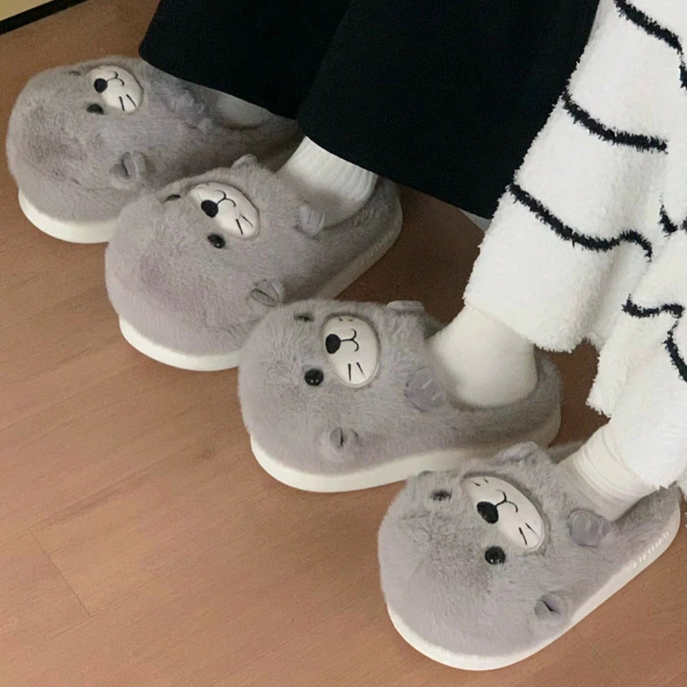 Sea Lion Slippers