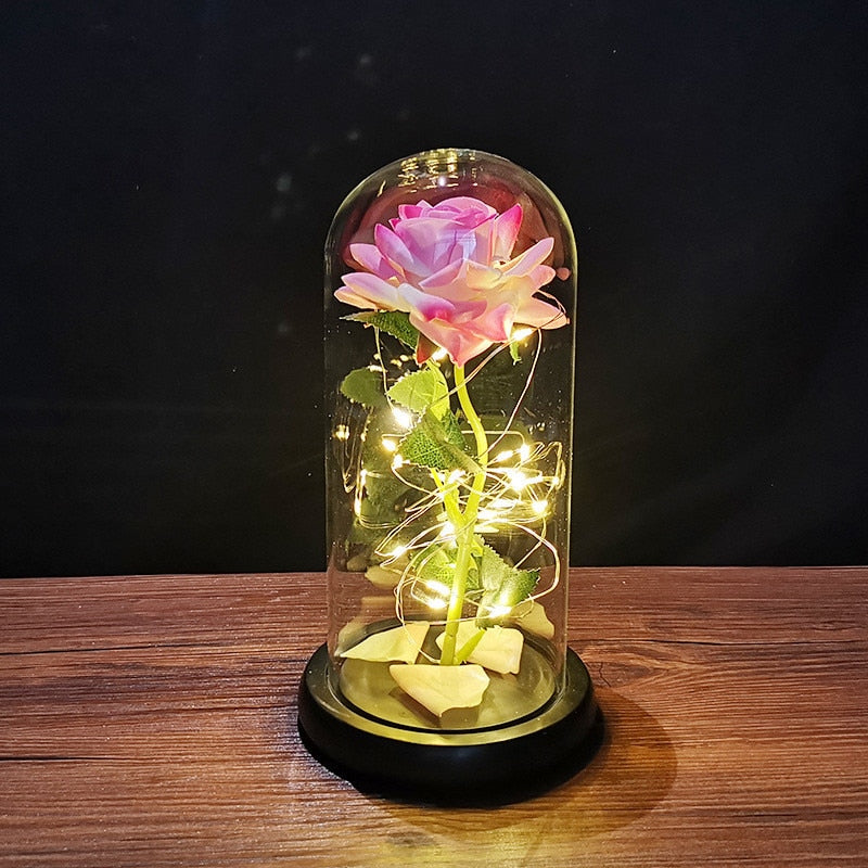 Eternal Rose in Glass Dome Attractive Eye-catching Lightweight