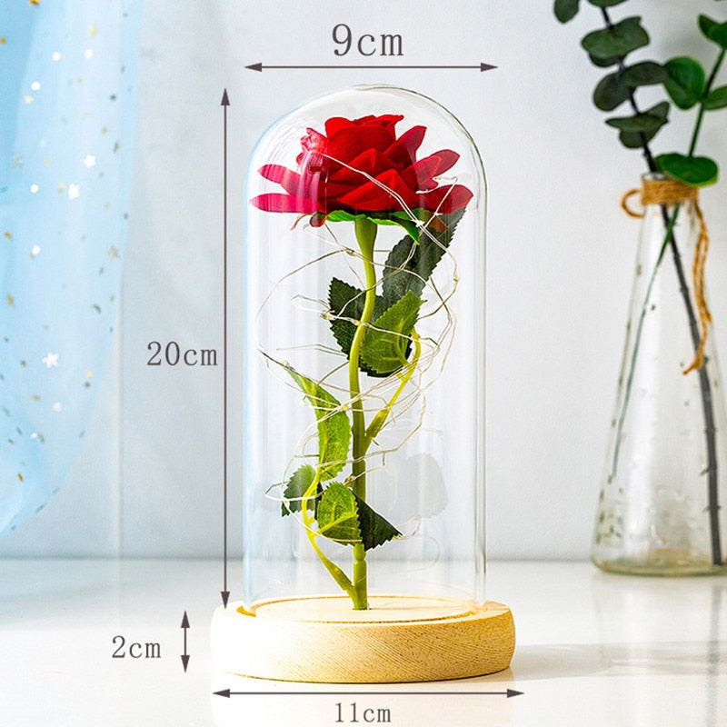 Eternal rose in glass