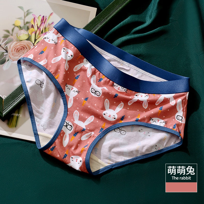 Matching Underwear Set With Swan Print, Cute Cotton Underwear for Couple, Couple  Matching Accessories Swan Printed Matching Briefs for Two 